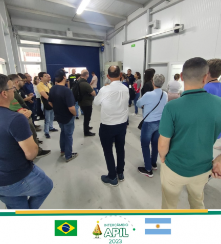 Imagem Noticia