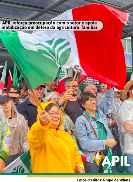Imagem Noticia