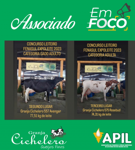 Imagem Noticia