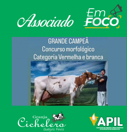 Imagem Noticia