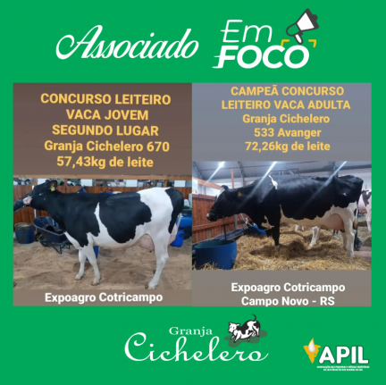 Imagem Noticia